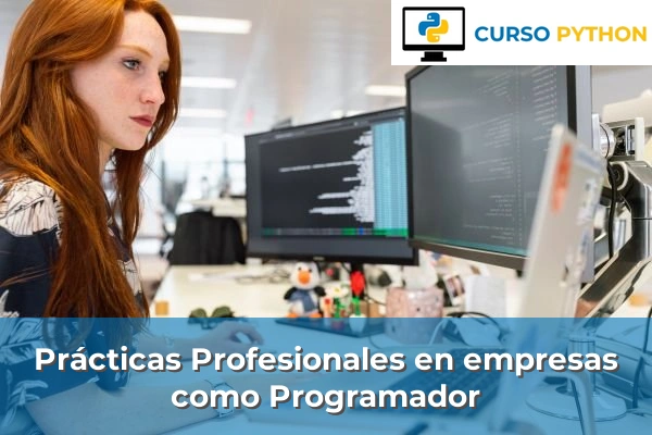 Prácticas Profesionales en empresas como Programador